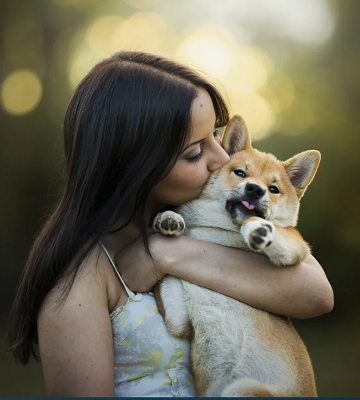 Гостиница Каменск-Шахтинский с домашними животными